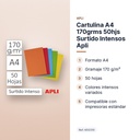 CARTULINA A4 170GRMS 50HJS SURTIDO INTENSOS APLI - características principales