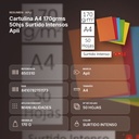 CARTULINA A4 170GRMS 50HJS SURTIDO INTENSOS APLI - resumen de atributos