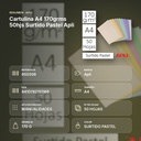 CARTULINA A4 170GRMS 50HJS SURTIDO PASTEL APLI - resumen de atributos