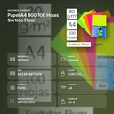 PAPEL A4 80G 100 HOJAS SURTIDO FLUOR - resumen de atributos