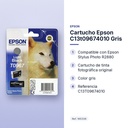 CARTUCHO EPSON C13T09674010 GRIS - características principales