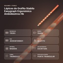 LÁPICES DE GRAFITO STABILO EASYGRAPH ERGONÓMICO AMBIDIESTROS HB - resumen de atributos