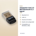 ADAPTADOR USB 2.0 MINI BLUETOOTH 5.3 IGGUAL  - características principales