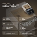 ADAPTADOR USB 2.0 MINI BLUETOOTH 5.3 IGGUAL  - resumen de atributos