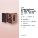 ALTAVOCES IGGUAL 2.0 50W BLUETOOTH 5.3 HOME STUDIO - características principales