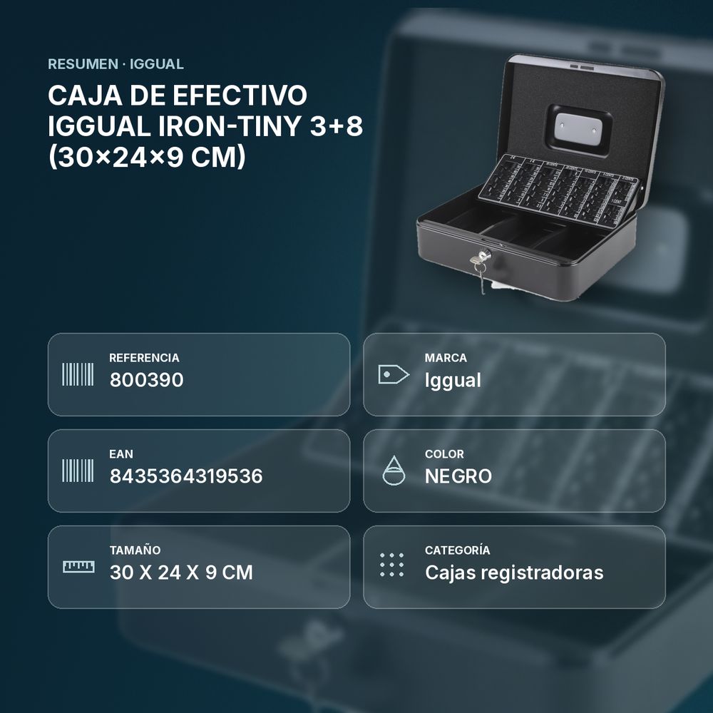 CAJA DE EFECTIVO IGGUAL IRON-TINY 3+8 (30x24x9 CM) - resumen de atributos