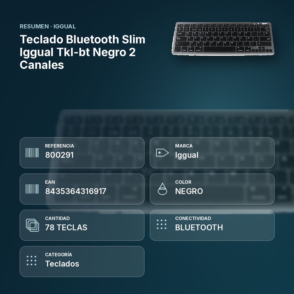 TECLADO BLUETOOTH SLIM IGGUAL TKL-BT NEGRO 2 CANALES - resumen de atributos