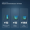 BOLÍGRAFO DE GEL ERICHKRAUSE R-301 VERDE  - formato de venta: paquete de 12, caja de 144, palé de 1728