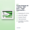 CARTÓN ENTELADO 18 × 24 CM – 250 G/M² – TRIPLE IMPRIMACIÓN DALER-ROWNEY SIMPLY - características principales