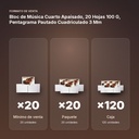 BLOC DE MÚSICA CUARTO APAISADO, 20 HOJAS 100 G, PENTAGRAMA PAUTADO CUADRICULADO 3 MM - formato de venta: paquete de 20, caja de 120