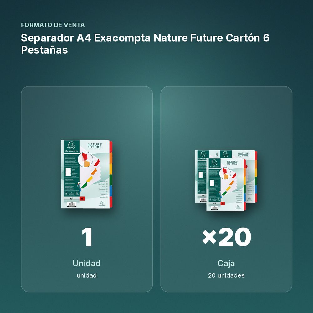 SEPARADOR A4 EXACOMPTA NATURE FUTURE CARTÓN 6 PESTAÑAS - formato de venta: caja de 20