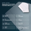 SEPARADOR EXACOMPTA CARTULINA BLANCA A–Z  - resumen de atributos