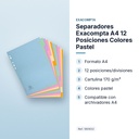 SEPARADORES EXACOMPTA A4 12 POSICIONES COLORES PASTEL - características principales