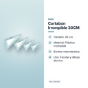 CARTABON IRROMPIBLE 30CM - características principales