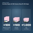 CARTULINA RAYLU A4 180 GRAMOS ROSA PK 100 HOJAS - formato de venta: paquete de 100, caja de 1000