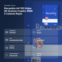 RECAMBIO A4 100 HOJAS 90 GRAMOS CUADRO 4MM 5 COLORES RAYLU - resumen de atributos