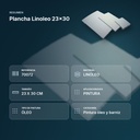 PLANCHA LINOLEO 23X30 - resumen de atributos