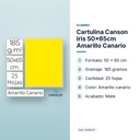 CARTULINA CANSON IRIS 50×65CM AMARILLO CANARIO  - características principales