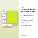 CARTULINA CANSON IRIS 50×65CM KIWI - características principales