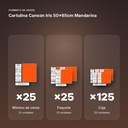CARTULINA CANSON IRIS 50×65CM MANDARINA - formato de venta: paquete de 25, caja de 125