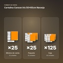 CARTULINA CANSON IRIS 50×65CM NARANJA - formato de venta: paquete de 25, caja de 125