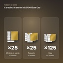 CARTULINA CANSON IRIS 50×65CM ORO - formato de venta: paquete de 25, caja de 125