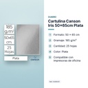 CARTULINA CANSON IRIS 50×65CM PLATA - características principales