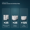 CARTULINA CANSON IRIS 50×65CM PLATA - formato de venta: paquete de 25, caja de 125