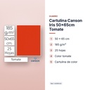 CARTULINA CANSON IRIS 50×65CM TOMATE  - características principales