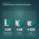 CARTULINA CANSON IRIS 50×65CM VERDE MENTA - formato de venta: paquete de 25, caja de 125