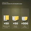 CARTULINA CANSON IRIS A4 AMARILLO LIMON - formato de venta: paquete de 50, caja de 500