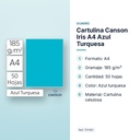 CARTULINA CANSON IRIS A4 AZUL TURQUESA - características principales