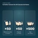 CARTULINA CANSON IRIS A4 CASCARA DE HUEVO - formato de venta: paquete de 50, caja de 500