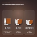 CARTULINA CANSON IRIS A4 CHOCOLATE  - formato de venta: paquete de 50, caja de 500
