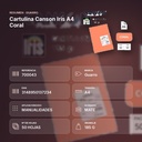 CARTULINA CANSON IRIS A4 CORAL - resumen de atributos