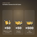 CARTULINA CANSON IRIS A4 CUERO - formato de venta: paquete de 50, caja de 500