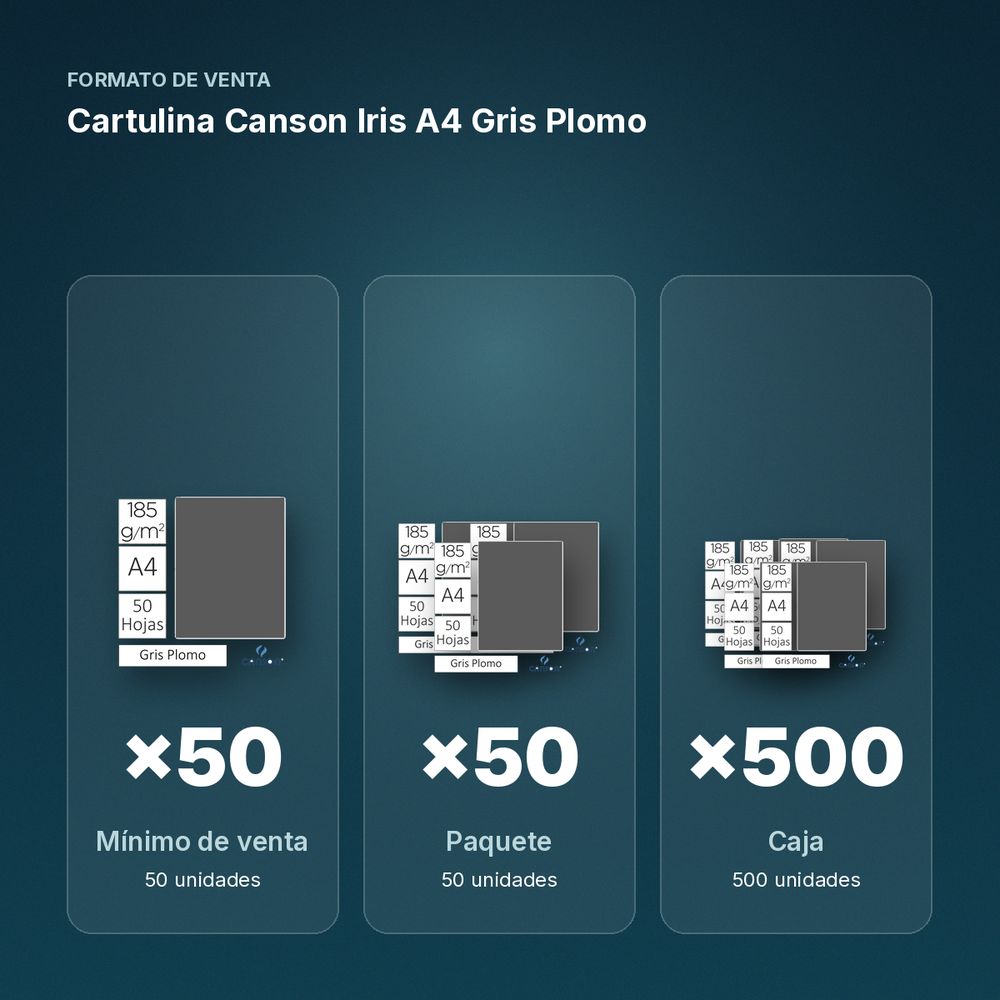 CARTULINA CANSON IRIS A4 GRIS PLOMO - formato de venta: paquete de 50, caja de 500
