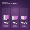 CARTULINA CANSON IRIS A4 MALVA - formato de venta: paquete de 50, caja de 500