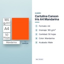 CARTULINA CANSON IRIS A4 MANDARINA - características principales