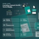 CARTULINA CANSON IRIS A4 VERDE MENTA - resumen de atributos