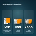 CARTULINA CANSON IRIS A4 NARANJA - formato de venta: paquete de 50, caja de 500
