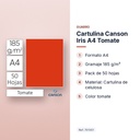 CARTULINA CANSON IRIS A4 TOMATE - características principales