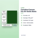 CARTULINA CANSON IRIS A4 VERDE ABETO - características principales