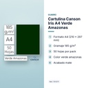 CARTULINA CANSON IRIS A4 VERDE AMAZONAS - características principales