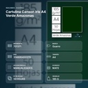CARTULINA CANSON IRIS A4 VERDE AMAZONAS - resumen de atributos