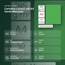 CARTULINA CANSON IRIS A4 VERDE MANZANA - resumen de atributos