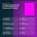 CARTULINA SADIPAL 50×65 CM 250 GRAMOS FUCSIA FLUORESCENTE 10 HOJAS - resumen de atributos