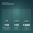 PINCEL ACUARELA Nº 00 - formato de venta: paquete de 12, caja de 288
