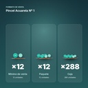 PINCEL ACUARELA Nº 1 - formato de venta: paquete de 12, caja de 288