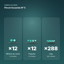 PINCEL ACUARELA Nº 5 - formato de venta: paquete de 12, caja de 288